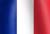 French national flag icon