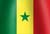 Senegalese national flag icon