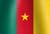 Cameroonian national flag icon