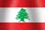 Lebanese national flag icon