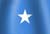 Somalian national flag icon