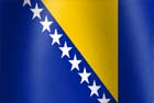 Bosnia and Herzegovina National flag graphic