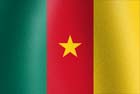 Cameroon National flag graphic
