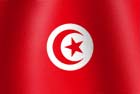 Tunisian national flag image