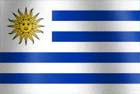 Uruguayan national flag image