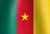 Cameroonian national flag icon