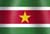 Suriname national flag icon