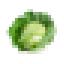 Icon image of cabbage head