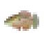 Icon image of a fish