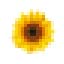 Icon image of a sunflower plant head